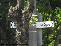 Imagine atasata: Liege - 2018.05.11 - 09.jpg